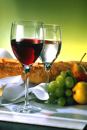 Spain Wine Tour